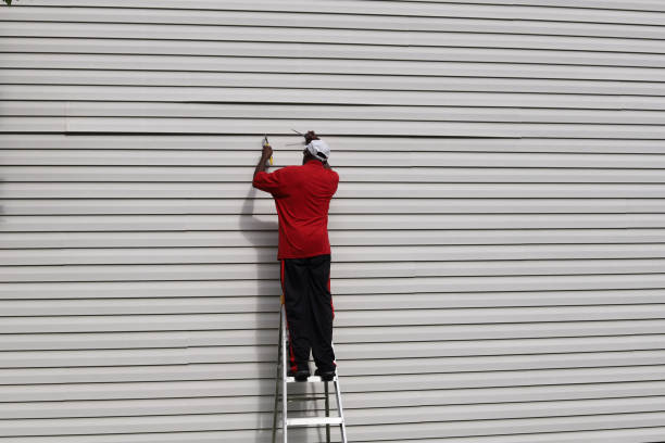 Best Siding Painting and Refinishing  in River Forest, IL