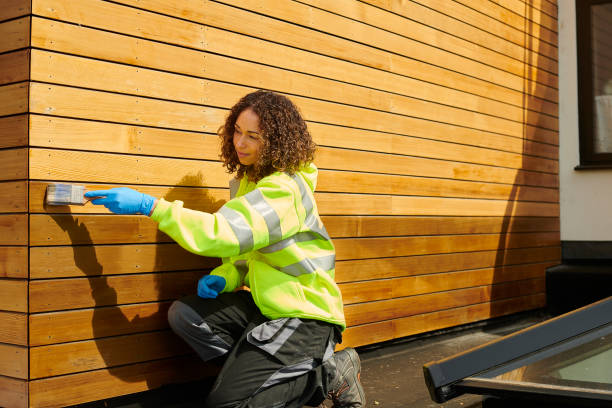 Best Stone Veneer Siding  in River Forest, IL