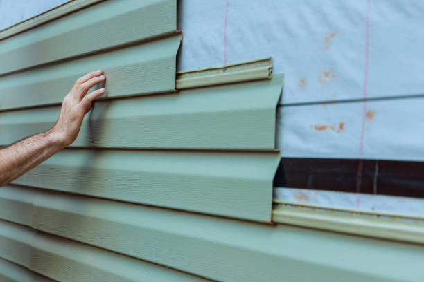 Best Custom Trim and Detailing for Siding  in River Forest, IL